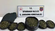 Diyarbakır’da zehir tacirlerine ağır darbe: 22 adrese eş zamanlı şafak operasyonu