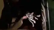 Diyarbakır’da yürekleri ağza getiren yangın: Alevlerin arasından mucize kurtuluş