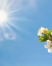 Diyarbakır’da hava değişiyor! Sabah sis, gün içinde sıcaklık artışı