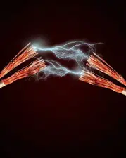 Diyarbakır’da 21 Temmuz Salı günü geniş çaplı enerji mesaisi: 16 ilçede elektrikler kesilecek