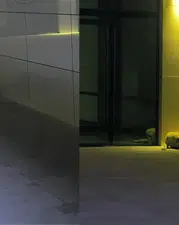 Dicle Üniversitesi Hastanesi’nde korku dolu anlar: Şifa arayanlar köpek sürülerinin arasında kaldı