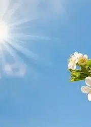 Diyarbakır’da hava değişiyor! Sabah sis, gün içinde sıcaklık artışı