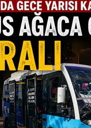 Diyarbakır’da gece yarısı kaza: Minibüs ağaca çarptı, 8 yaralı