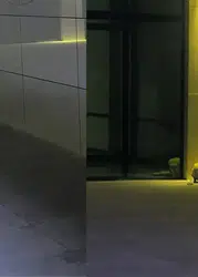 Dicle Üniversitesi Hastanesi’nde korku dolu anlar: Şifa arayanlar köpek sürülerinin arasında kaldı