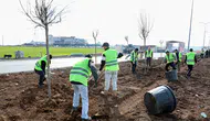 Diyarbakır Mardin yolu Baştan sona yeşilleniyor: 1.129 ağaç dikildi