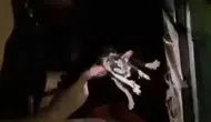 Diyarbakır’da yürekleri ağza getiren yangın: Alevlerin arasından mucize kurtuluş