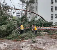 Şanlıurfa’da fırtına bilançosu ağır oldu: İki ilçede eğitime 4 gün daha mola