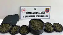 Diyarbakır’da zehir tacirlerine ağır darbe: 22 adrese eş zamanlı şafak operasyonu