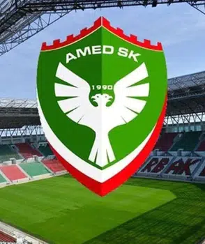 PFDK’dan Amedspor’a ceza yağdı: Toplam 230 bin TL, yöneticilere yaptırım