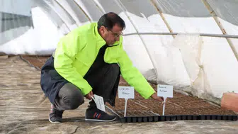 Büyükşehir’den Tarıma Destek: Yerel Tohumlarla 300 Bin Fide Üretimi