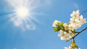 Diyarbakır’da hava değişiyor! Sabah sis, gün içinde sıcaklık artışı