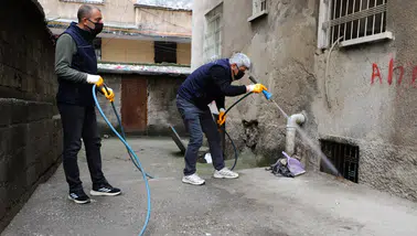 Diyarbakır’da haşereyle mücadele başladı: 17 ilçede yoğun çalışma