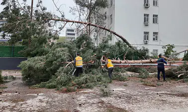 Şanlıurfa’da fırtına bilançosu ağır oldu: İki ilçede eğitime 4 gün daha mola