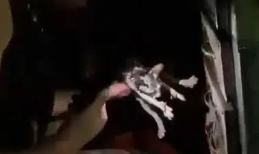 Diyarbakır’da yürekleri ağza getiren yangın: Alevlerin arasından mucize kurtuluş