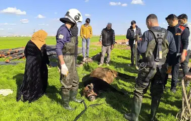Mardin’de kuyuya düşen inek kurtarıldı