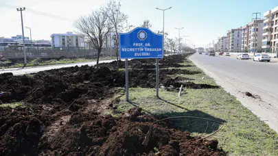 Kayapınar’da büyük dönüşüm! Erbakan Bulvarı kuru peyzaj ve ışıklandırmayla yenileniyor