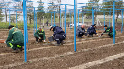 Diyarbakır Büyükşehir 25 bin gül üretiyor: Kendi fidanını kendisi yetiştiriyor