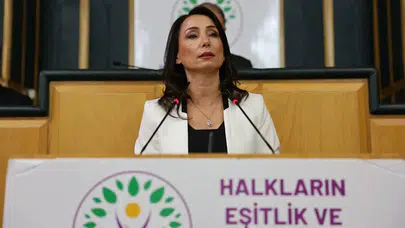 DEM Parti’den anayasa mesajı: “Toplumun kabul etmediğine evet demeyiz”