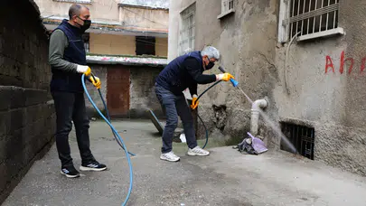 Diyarbakır’da haşereyle mücadele başladı: 17 ilçede yoğun çalışma