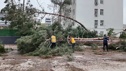 Şanlıurfa’da fırtına bilançosu ağır oldu: İki ilçede eğitime 4 gün daha mola