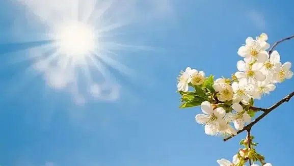 Diyarbakır’da hava değişiyor! Sabah sis, gün içinde sıcaklık artışı