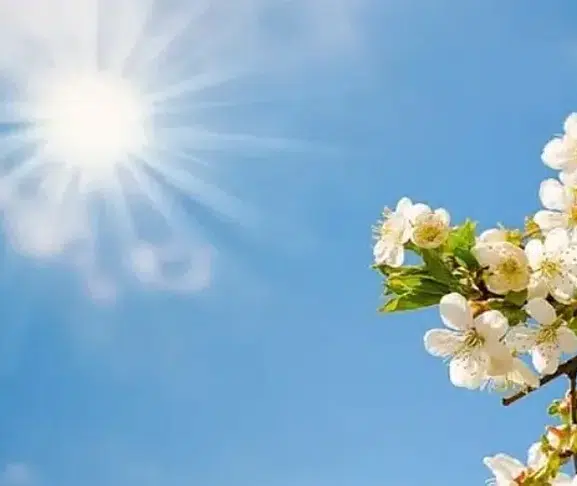 Diyarbakır’da hava değişiyor! Sabah sis, gün içinde sıcaklık artışı