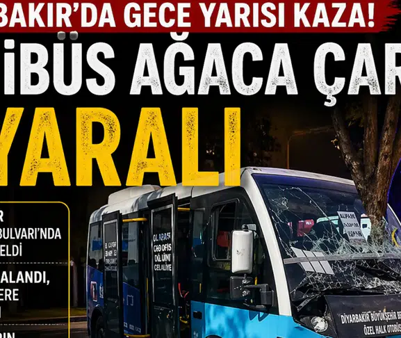 Diyarbakır’da gece yarısı kaza: Minibüs ağaca çarptı, 8 yaralı