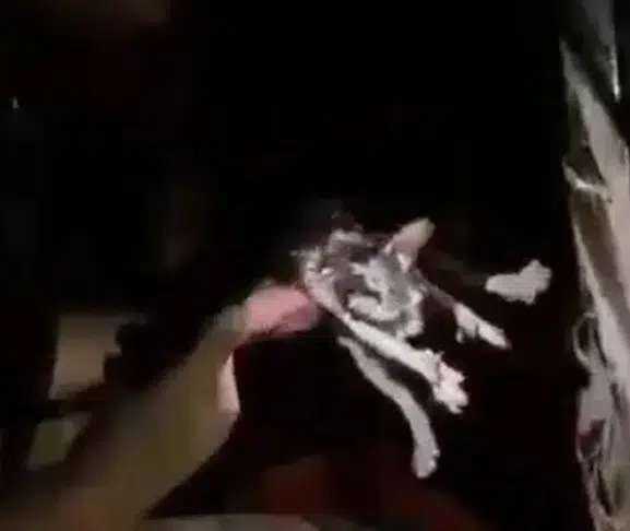 Diyarbakır’da yürekleri ağza getiren yangın: Alevlerin arasından mucize kurtuluş