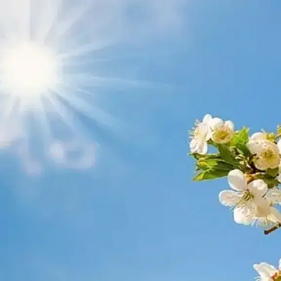 Diyarbakır’da hava değişiyor! Sabah sis, gün içinde sıcaklık artışı