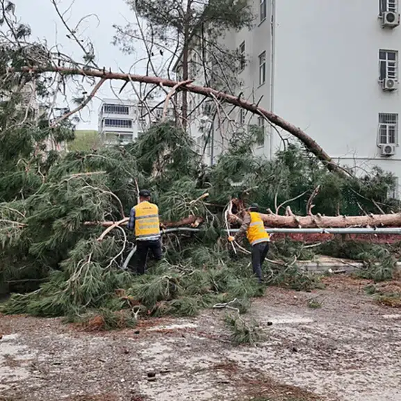 Şanlıurfa’da fırtına bilançosu ağır oldu: İki ilçede eğitime 4 gün daha mola