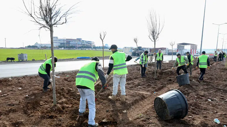 Diyarbakır Mardin yolu Baştan sona yeşilleniyor: 1.129 ağaç dikildi