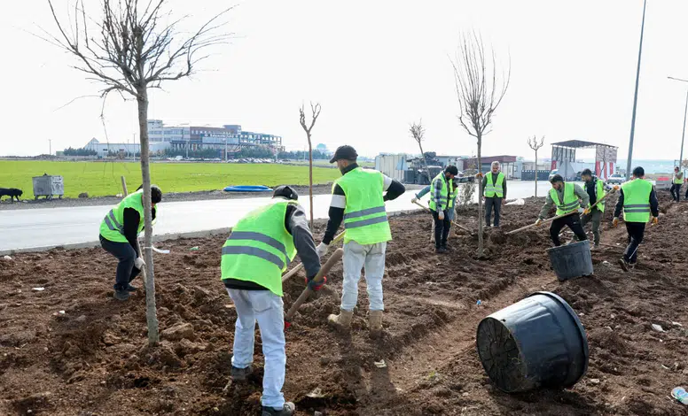 Diyarbakır Mardin yolu Baştan sona yeşilleniyor: 1.129 ağaç dikildi