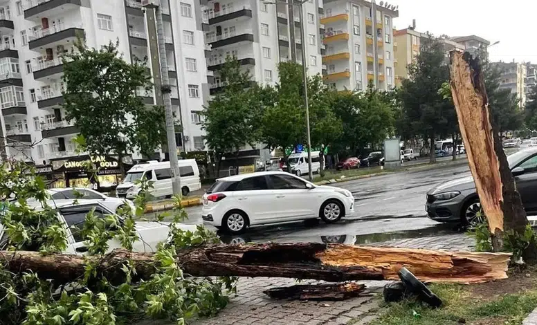 Meteoroloji Diyarbakır için uyardı: Fırtına geliyor