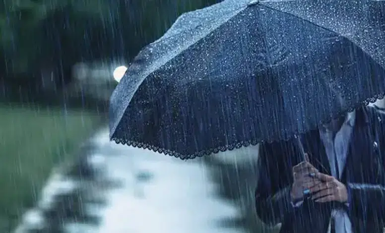 Diyarbakır Hava Durumu 2 Nisan: Akşam Sağanak, Gece Soğuk